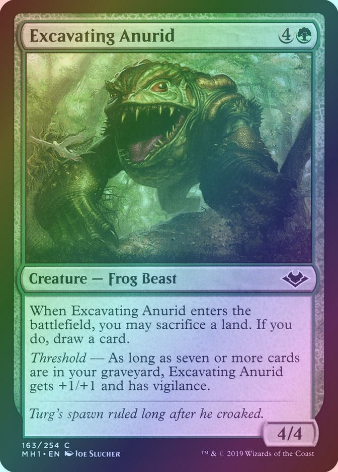 Excavating Anurid (MH1) (163) / Foil
