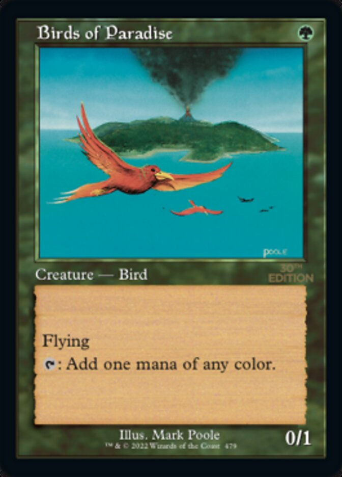 Birds of Paradise (30a) / Retro Frame
