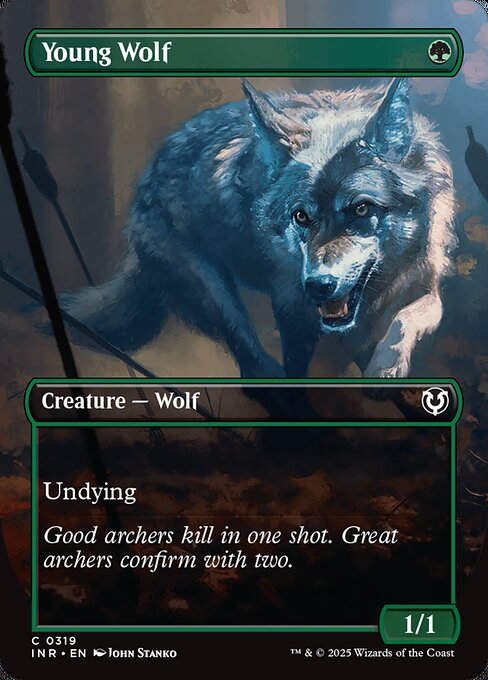 Young Wolf (INR) (319) / Borderless