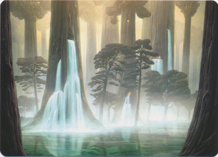 Waterlogged Grove (Art Series)
