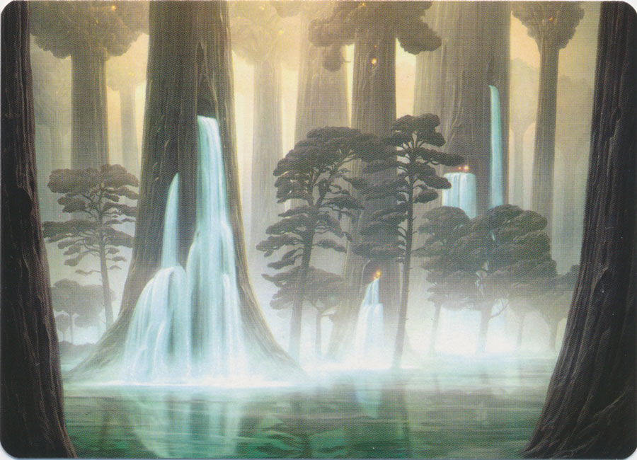 Waterlogged Grove (Art Series)