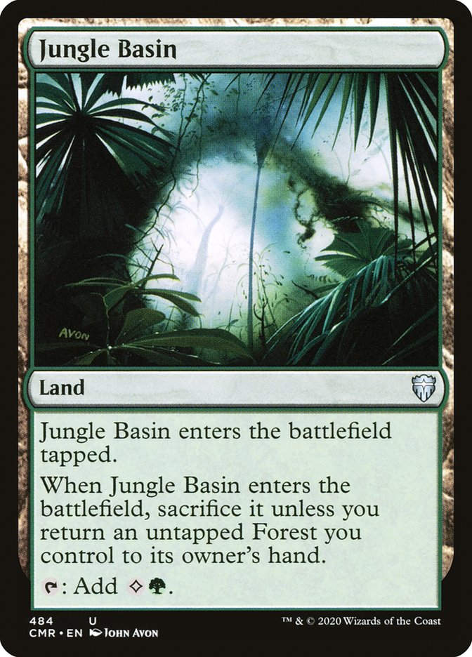Jungle Basin (CMR) (484)