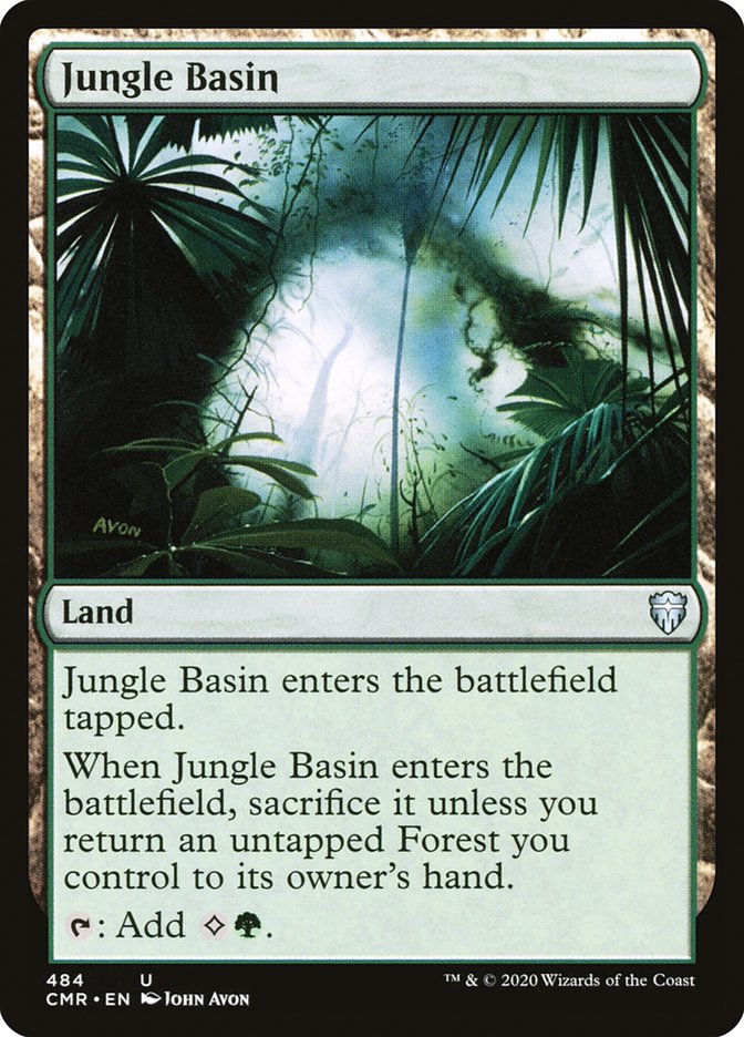 Jungle Basin (CMR) (484)