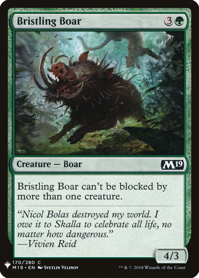 Bristling Boar (MYS)