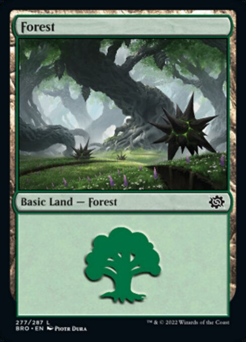 Forest (BRO_277)