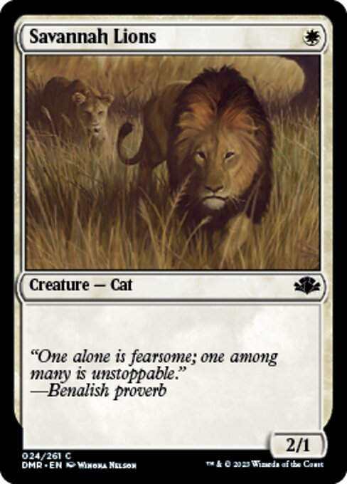 Savannah Lions (DMR)