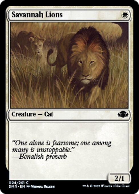 Savannah Lions (DMR)