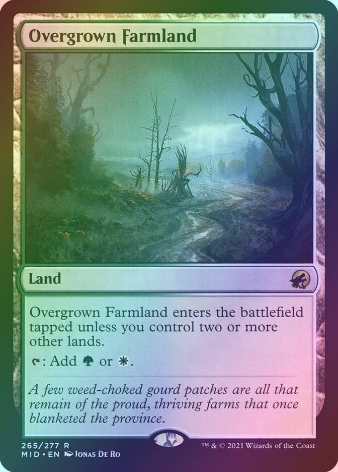 Overgrown Farmland (MID) (265) / Foil
