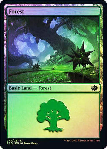 Forest (bro_277) / Foil
