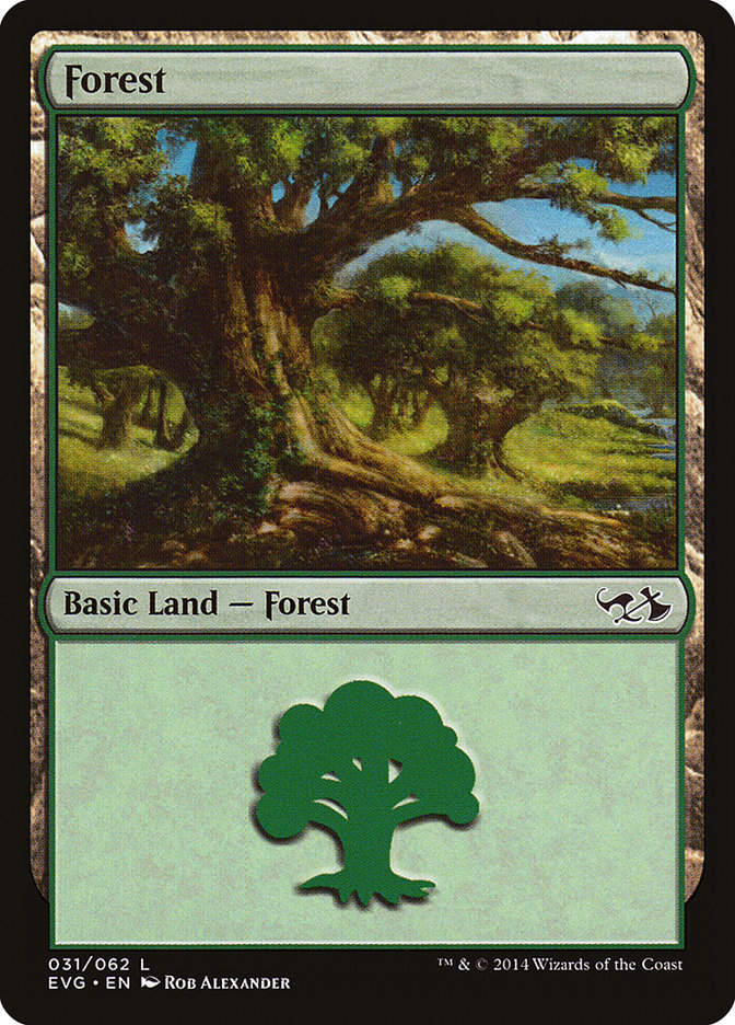 Forest (EVG) (31)