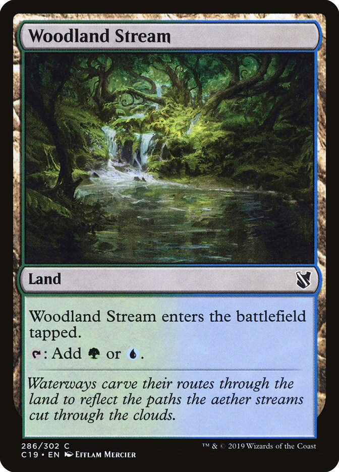 Woodland Stream (C19) (286)
