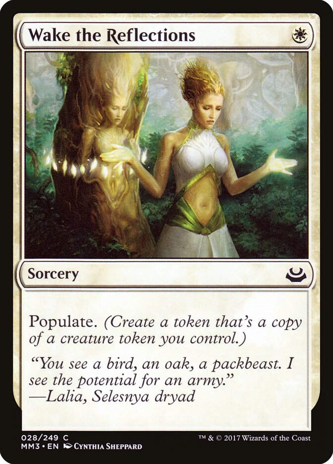 Wake the Reflections (MM3) (28)