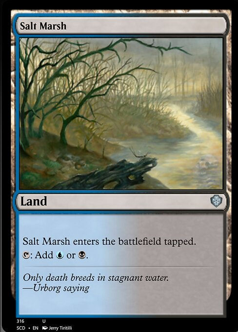 Salt Marsh (SCD)