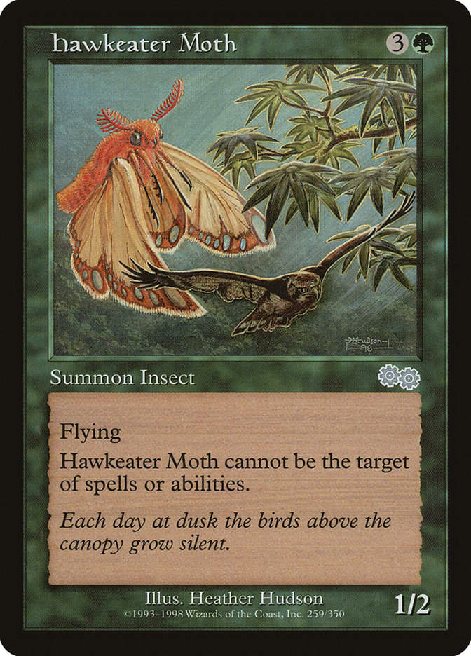 Hawkeater Moth (USG) (259)