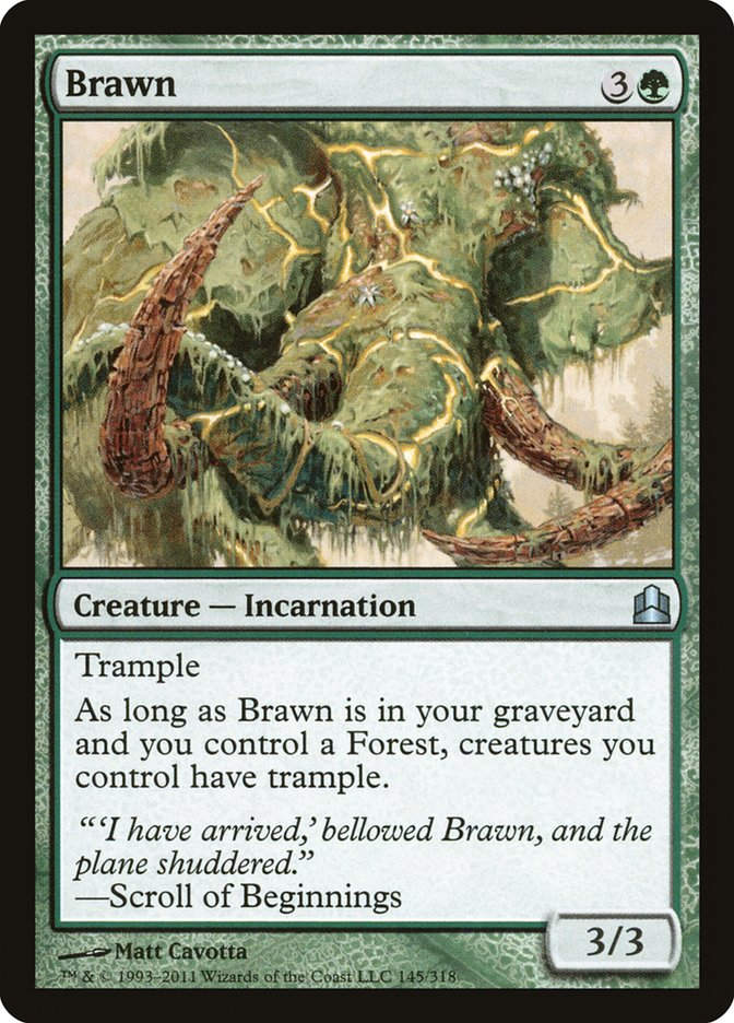 Brawn (cmd)
