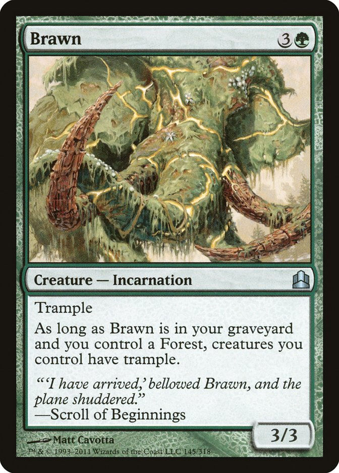 Brawn (cmd)