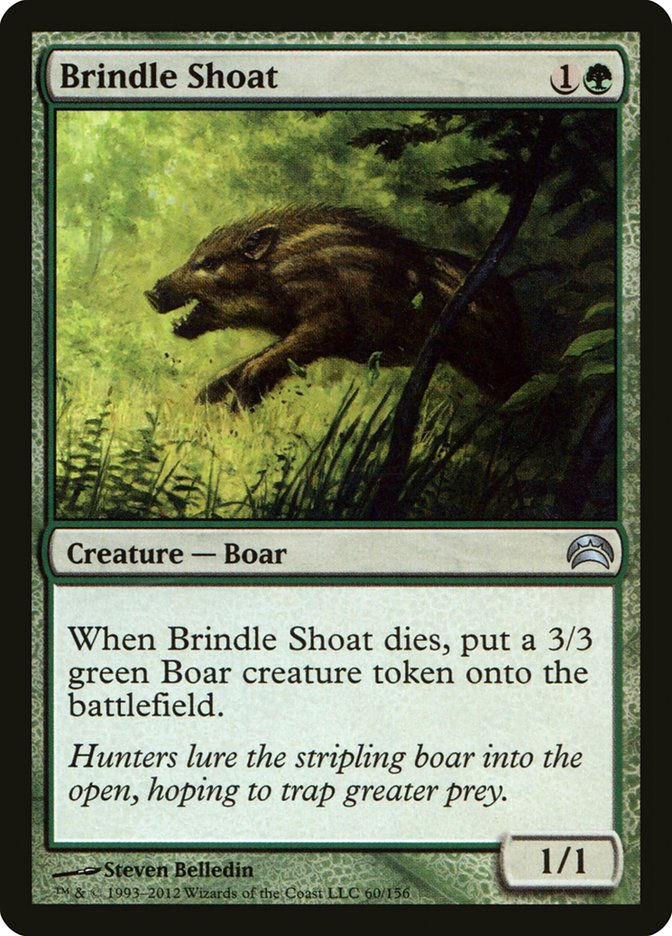Brindle Shoat (pc2)
