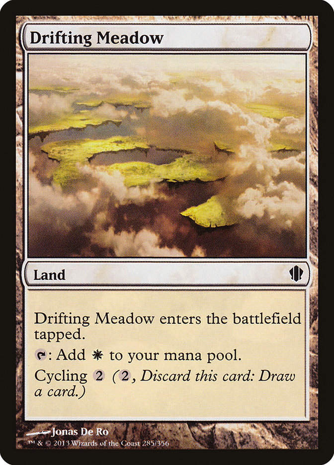 Drifting Meadow (c13)