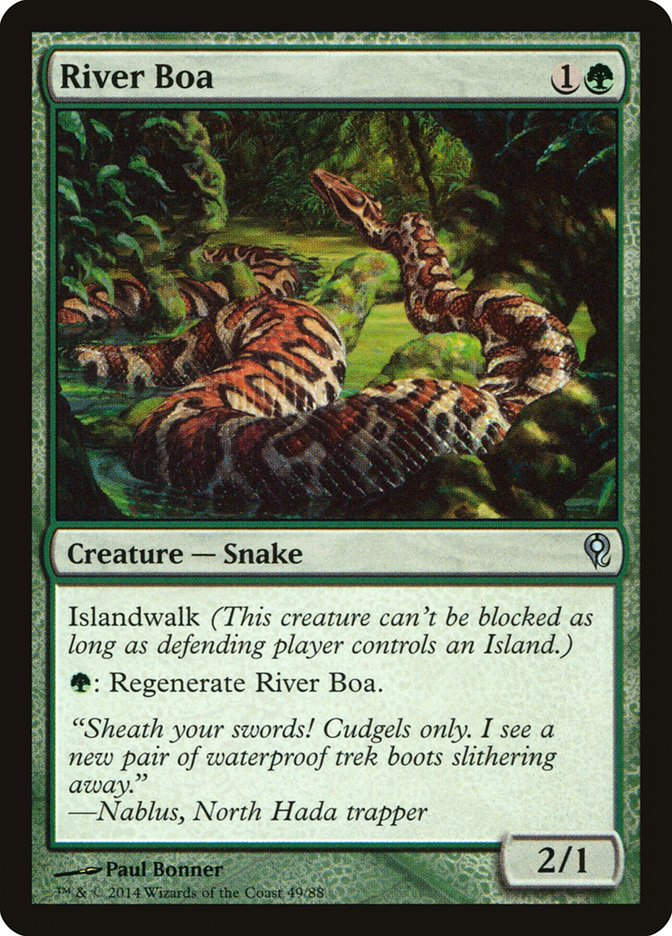 River Boa (ddm)