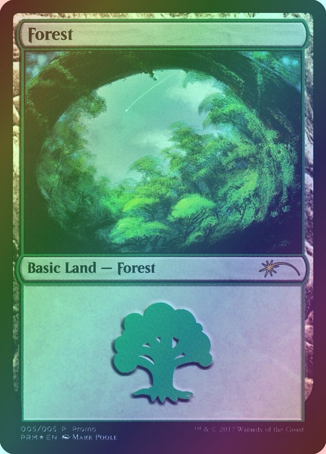 Forest (G17) (5) / Foil