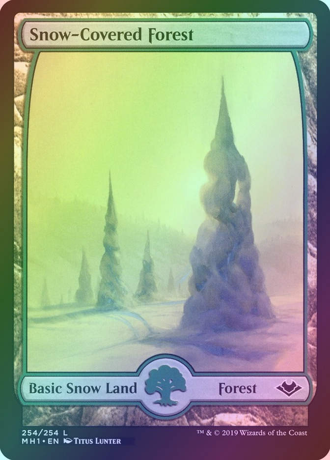 Snow-Covered Forest (MH1) (254) / Foil