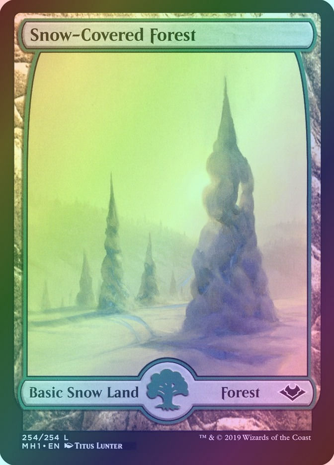 Snow-Covered Forest (MH1) (254) / Foil