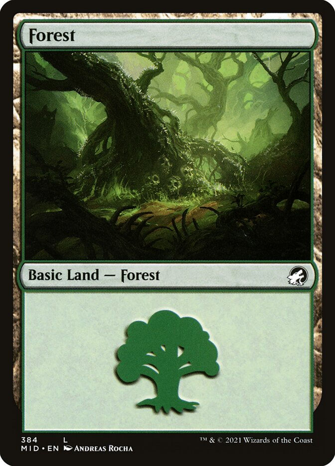 Forest (MID) (384)