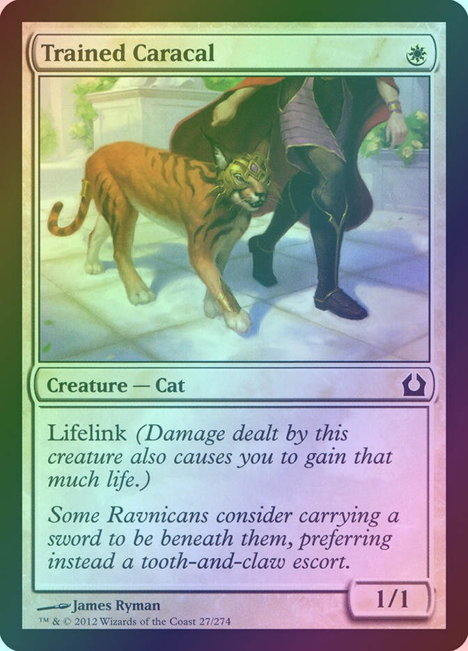 Trained Caracal (RTR) (27) / Foil