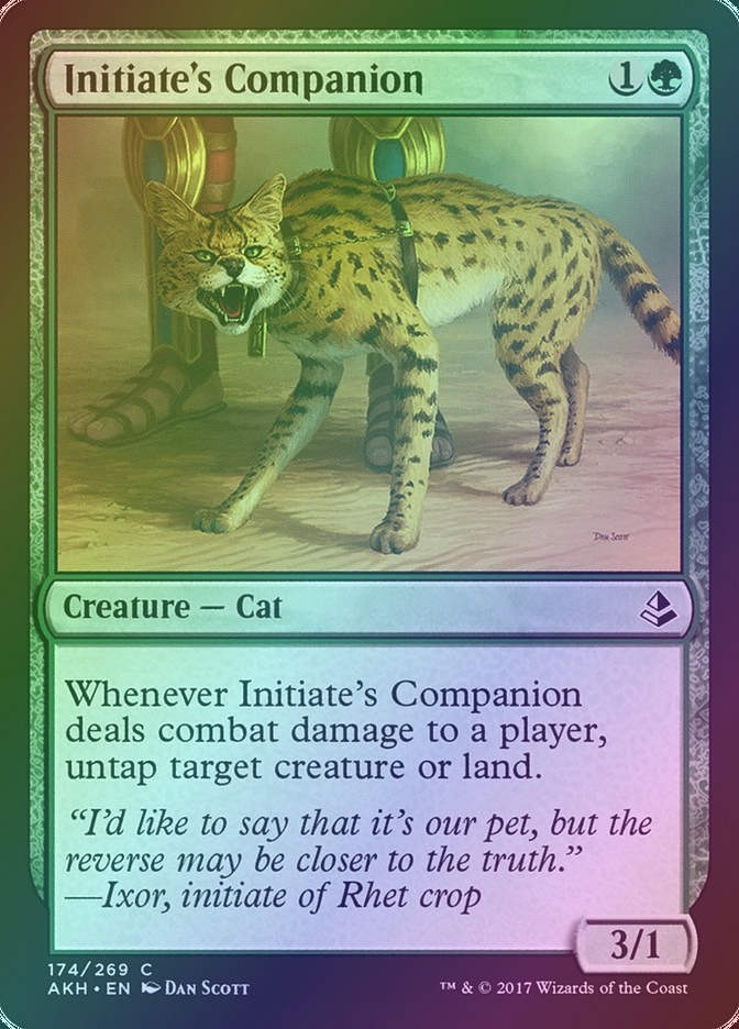 Initiate's Companion (AKH) (174) / Foil