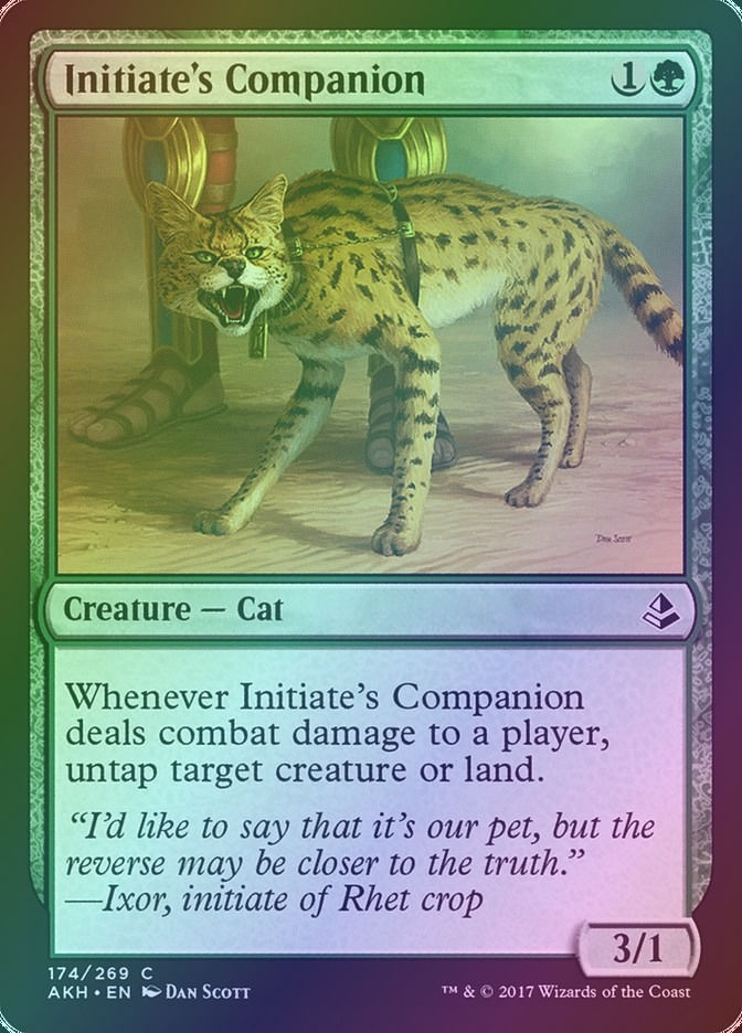 Initiate's Companion (AKH) (174) / Foil