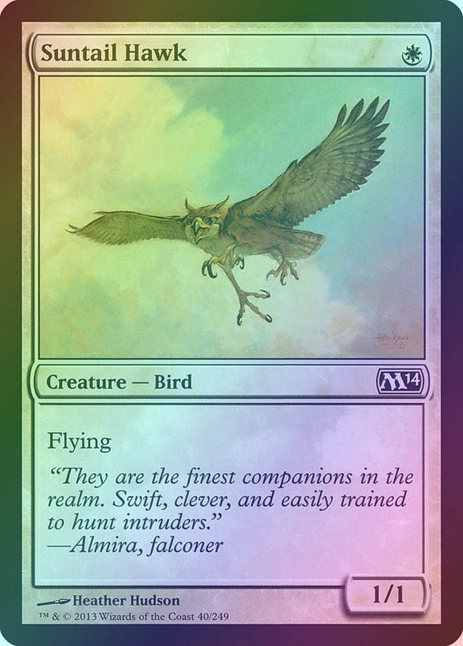 Suntail Hawk (M14) (40) / Foil