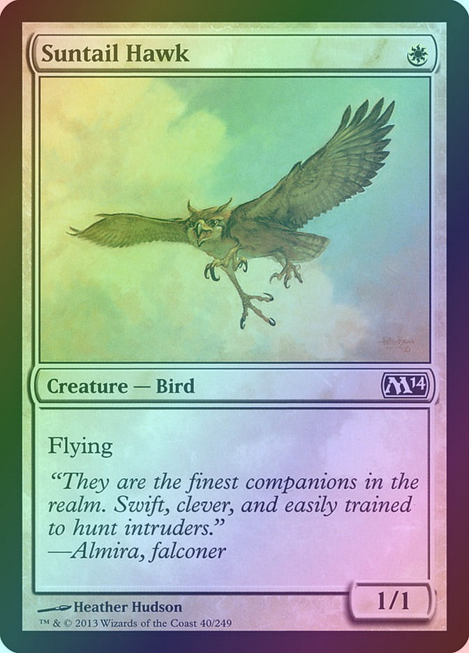 Suntail Hawk (M14) (40) / Foil