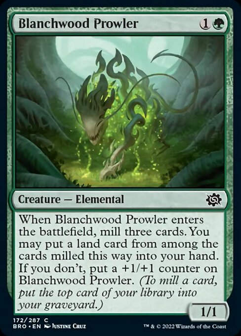 Blanchwood Prowler (BRO)