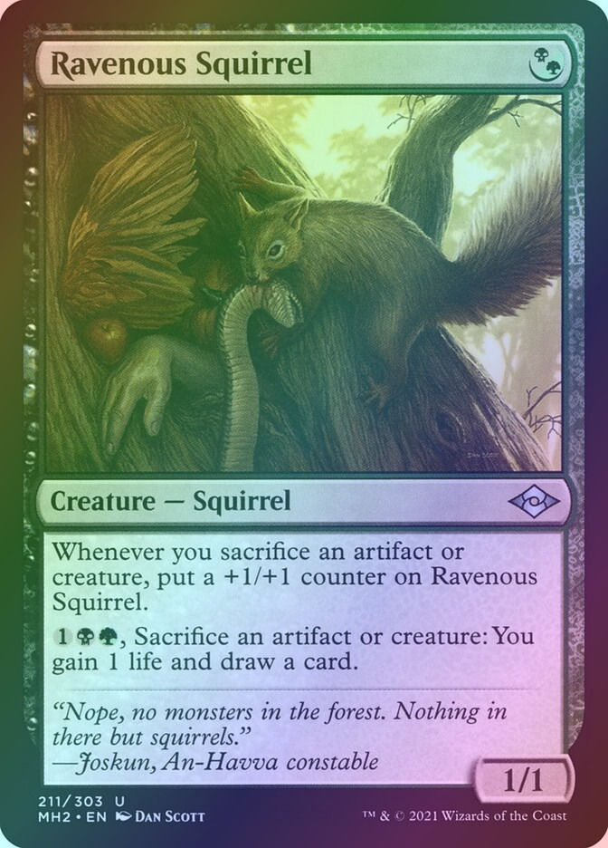 Ravenous Squirrel (MH2) (211) / Foil