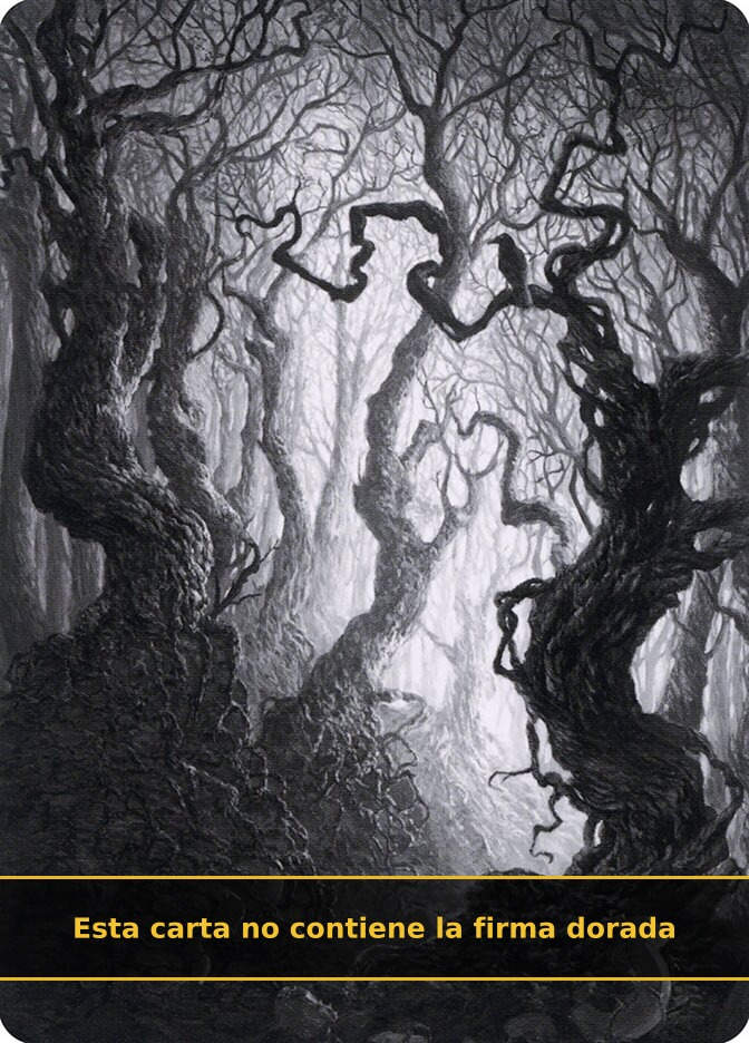 Forest (AMID) (80) / No Firmada
