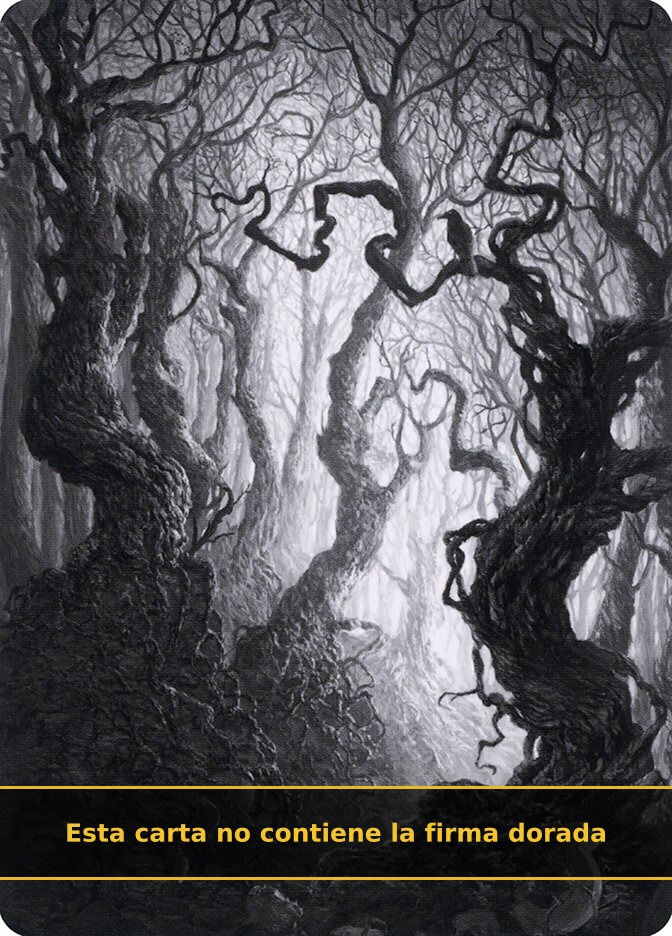 Forest (AMID) (80) / No Firmada