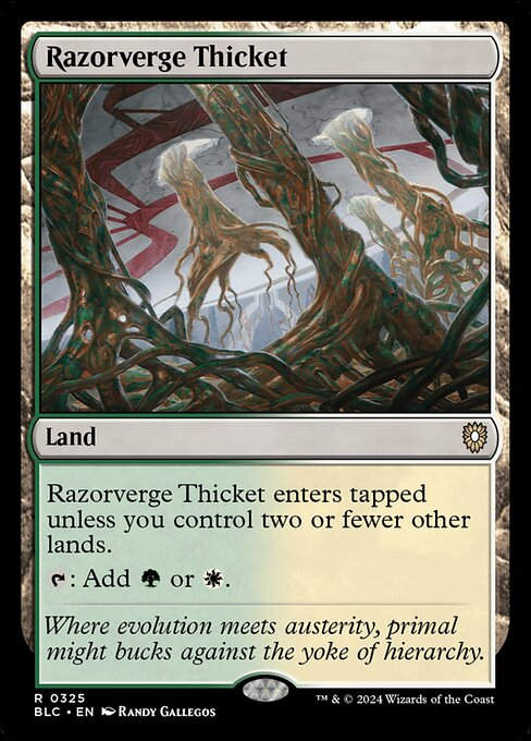 Razorverge Thicket (blc) (325)