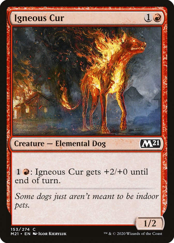 Igneous Cur (M21) (153)