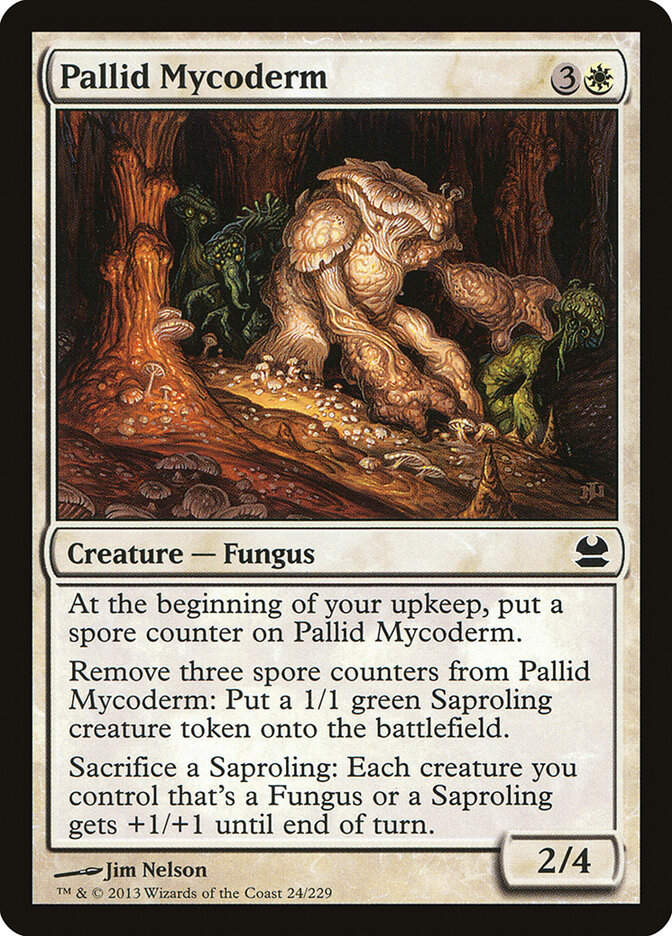 Pallid Mycoderm (MMA) (24)