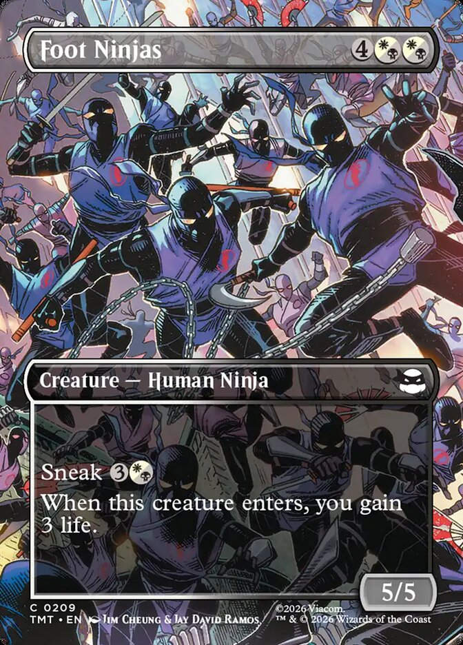 Foot Ninjas (TMT) (209) / Borderless