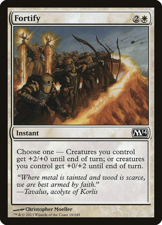 Fortify (M14) (19)
