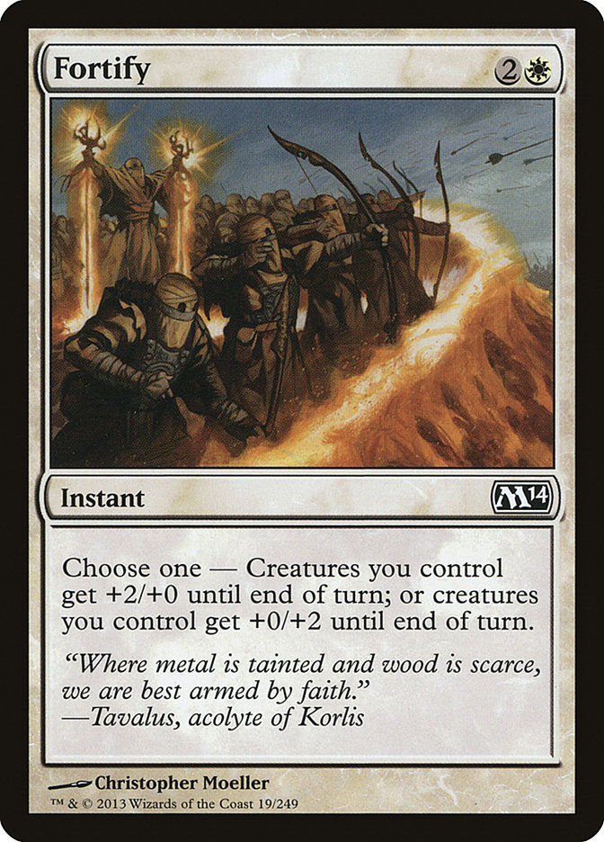 Fortify (M14) (19)