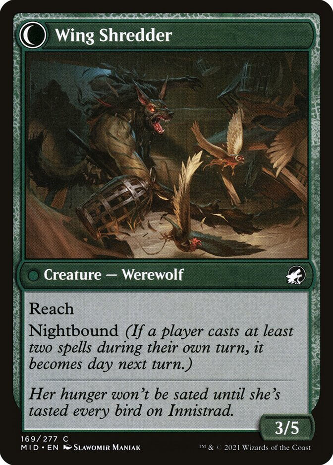 Bird Admirer // Wing Shredder (MID) (169) — cara 2 de 2