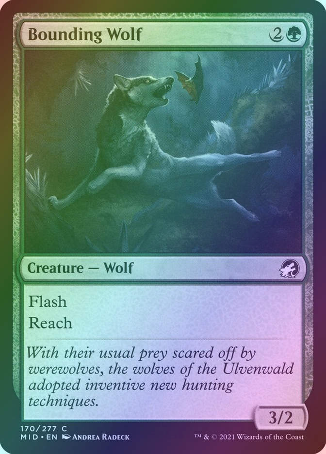 Bounding Wolf (MID) (170) / Foil