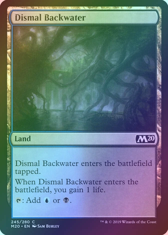 Dismal Backwater (M20) (245) / Foil