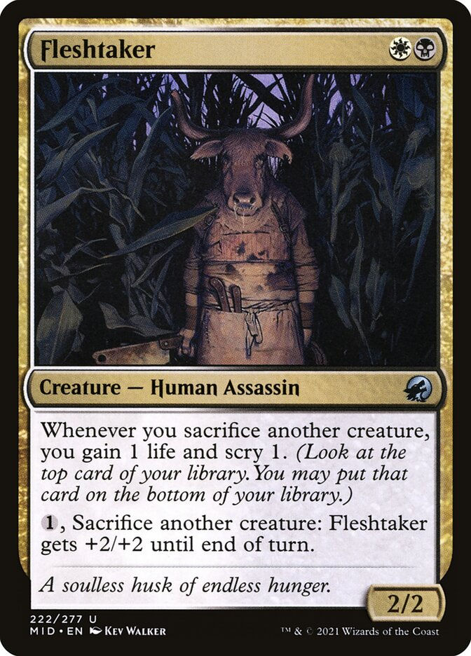 Fleshtaker (MID) (222)