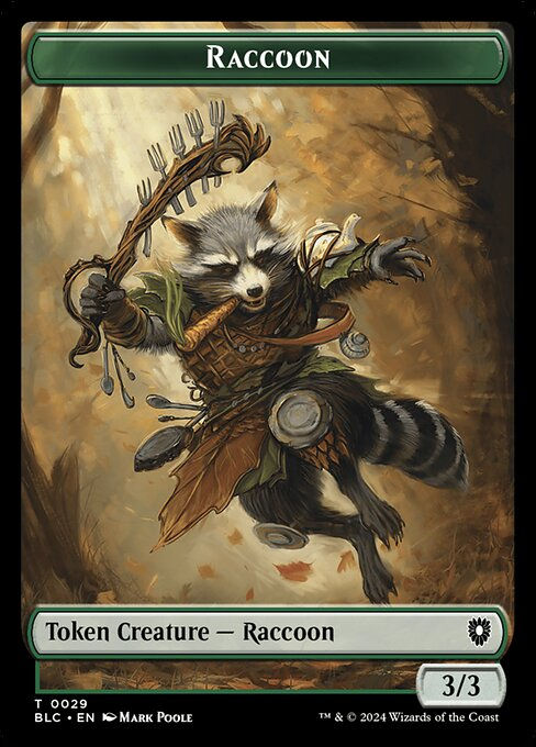 Raccoon (tblc) (29)