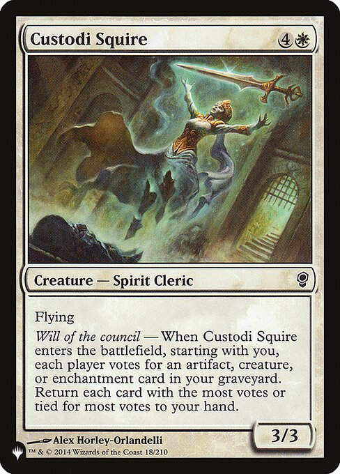 Custodi Squire (PLST) (CNS-18)
