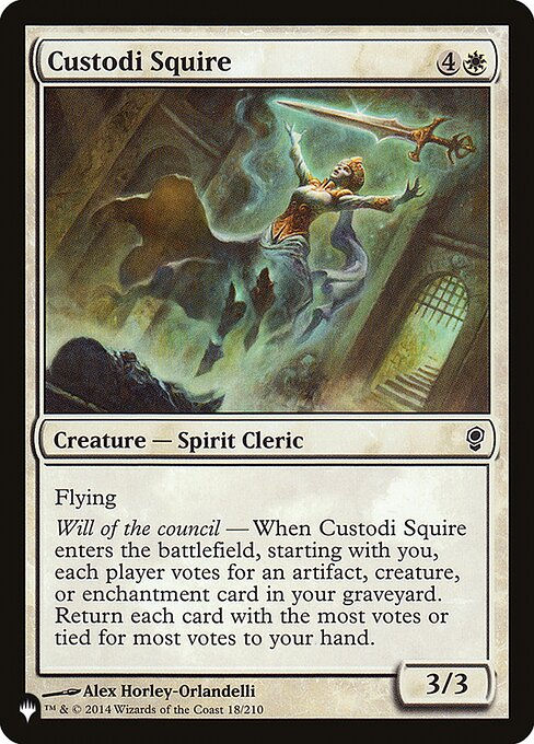 Custodi Squire (PLST) (CNS-18)