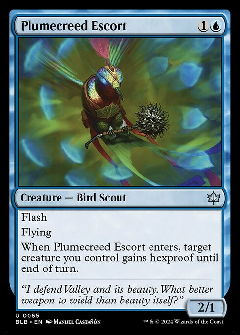 Plumecreed Escort (blb) (65)